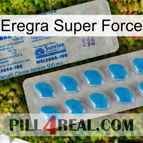 Eregra Super Force new15.jpg